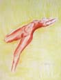 dessin sanguine